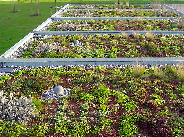 extensive Begrünung von Garagen in Rostock, Stadtteil Groß-Klein extensive Begrünung von Garagen in Rostock, Stadtteil Groß-Klein