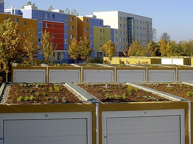 extensive Begrünung von Garagen in Rostock, Stadtteil Groß-Klein extensive Begrünung von Garagen in Rostock, Stadtteil Groß-Klein