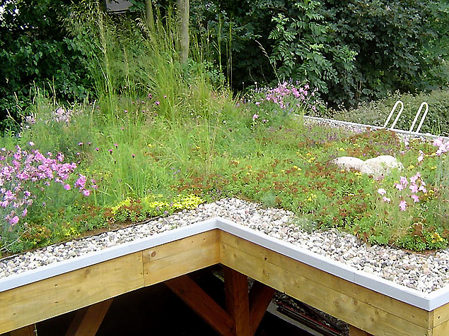 Carport mit extensiver Dachbegrünung Carport mit extensiver Dachbegrünung