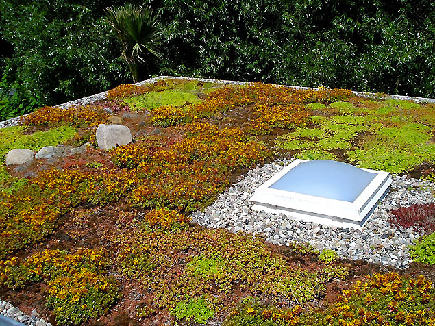Garagendach mit Lichtkuppel und Dachbegrünung Garagendach mit Lichtkuppel und Dachbegrünung