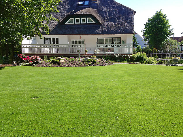 Staudenpflanzung und Rasen-Neuanlage