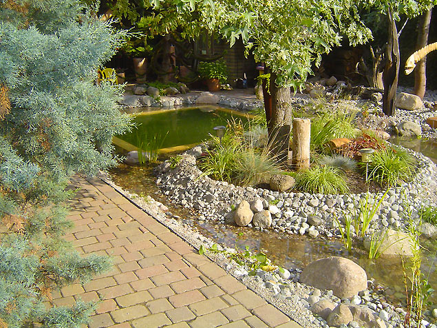 Gräser und Staudenpflanzung, Teichumfeld-Gestaltung