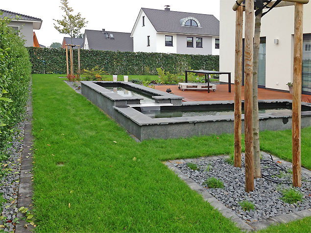 Sichtschutzbepflanzung