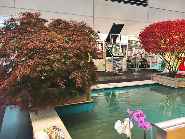 Kübelbepflanzung mit Formgehölzen